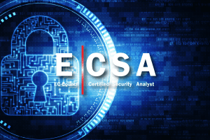 EC-Council Certified Security Analyst Course – Tech Brewery